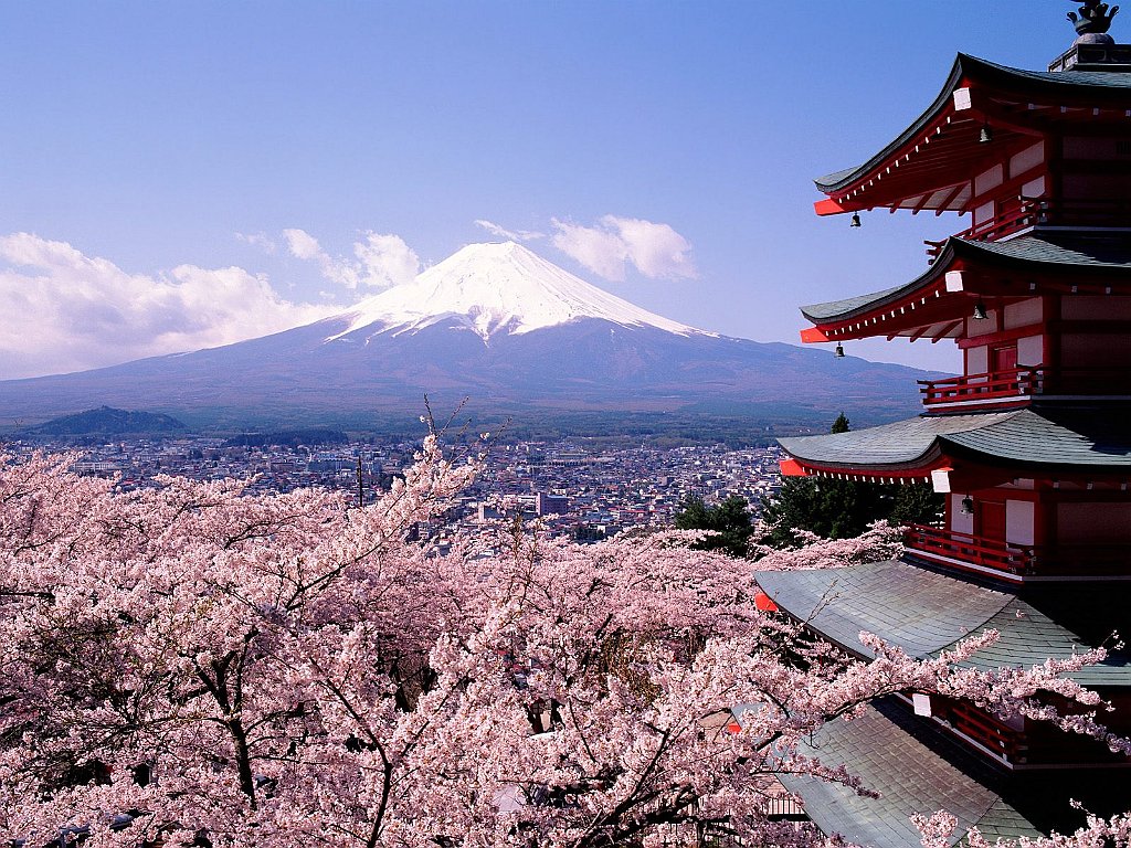 Cherry Blossoms and Mount Fuji, Japan